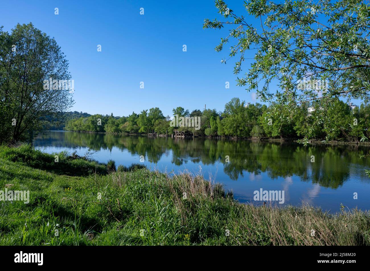 Paesaggio primaverile sulle rive del fiume Saone in primavera nel dipartimento del Rodano in Francia Foto Stock