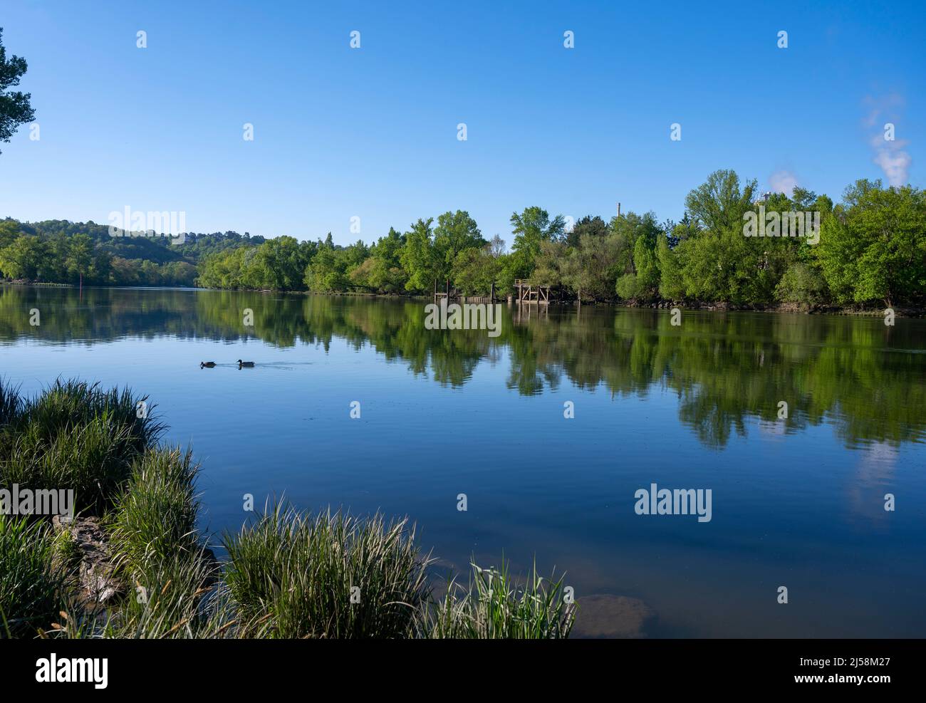 Paesaggio primaverile sulle rive del fiume Saone in primavera nel dipartimento del Rodano in Francia Foto Stock