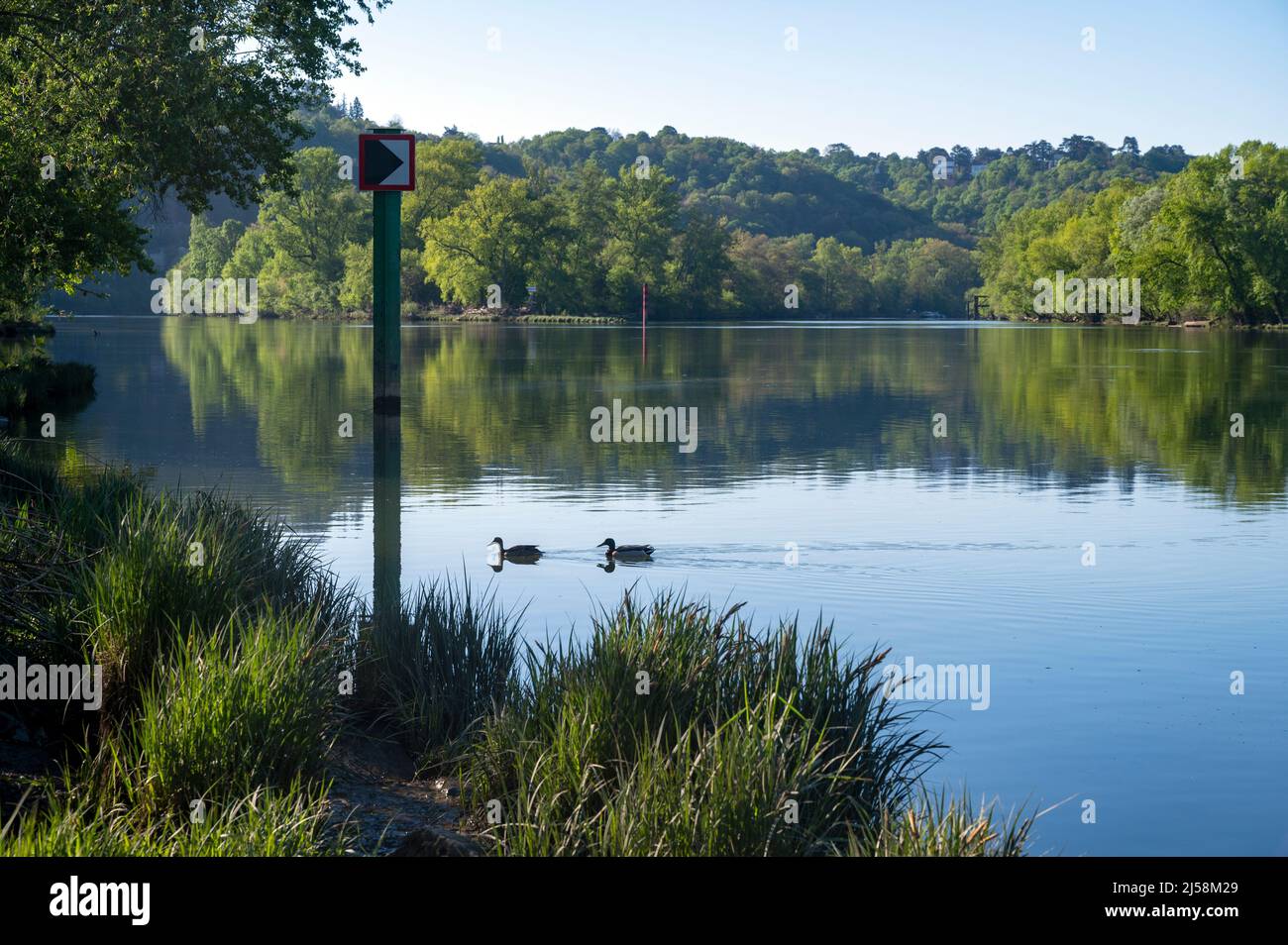Paesaggio primaverile sulle rive del fiume Saone in primavera nel dipartimento del Rodano in Francia Foto Stock