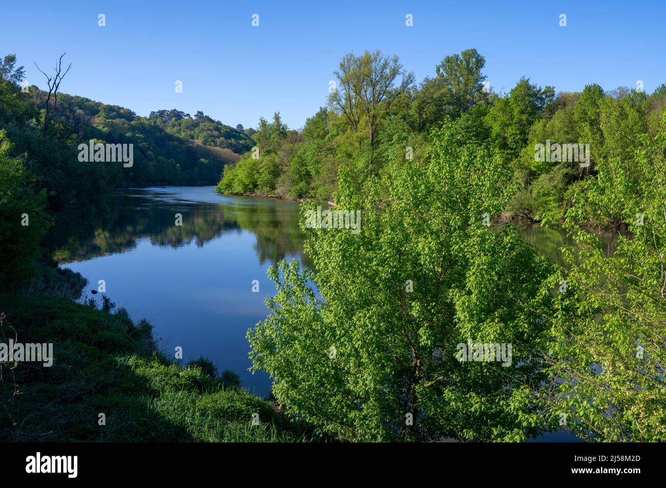 Paesaggio primaverile delle rive del fiume Saône nel dipartimento di Rhône intorno all'isola Roy Foto Stock