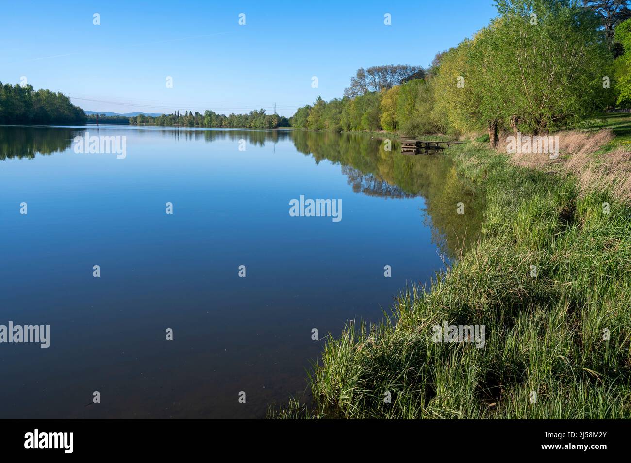 Paesaggio primaverile sulle rive del fiume Saone in primavera nel dipartimento di Ain in Francia Foto Stock