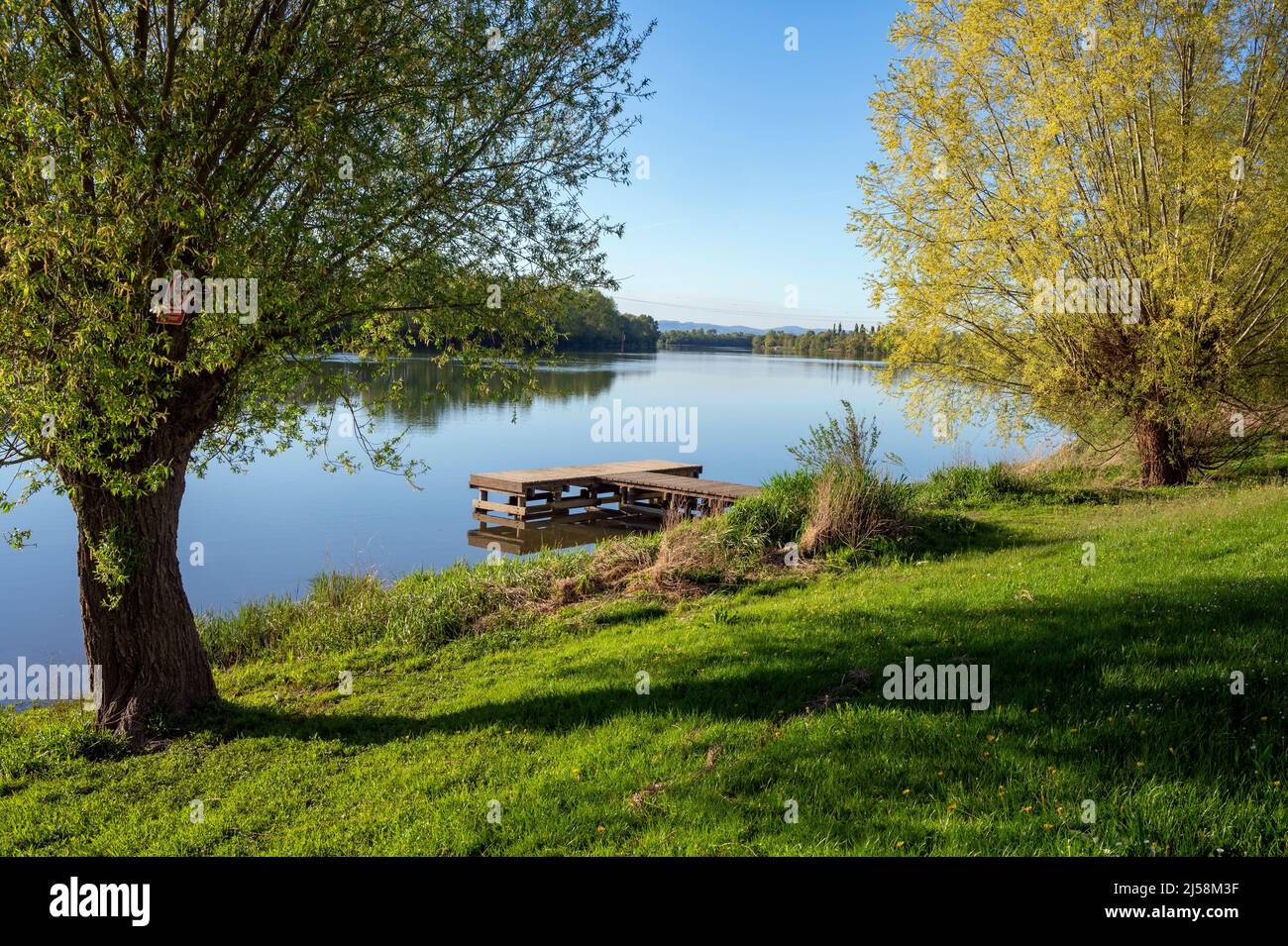 Paesaggio primaverile sulle rive del fiume Saone in primavera nel dipartimento di Ain in Francia Foto Stock
