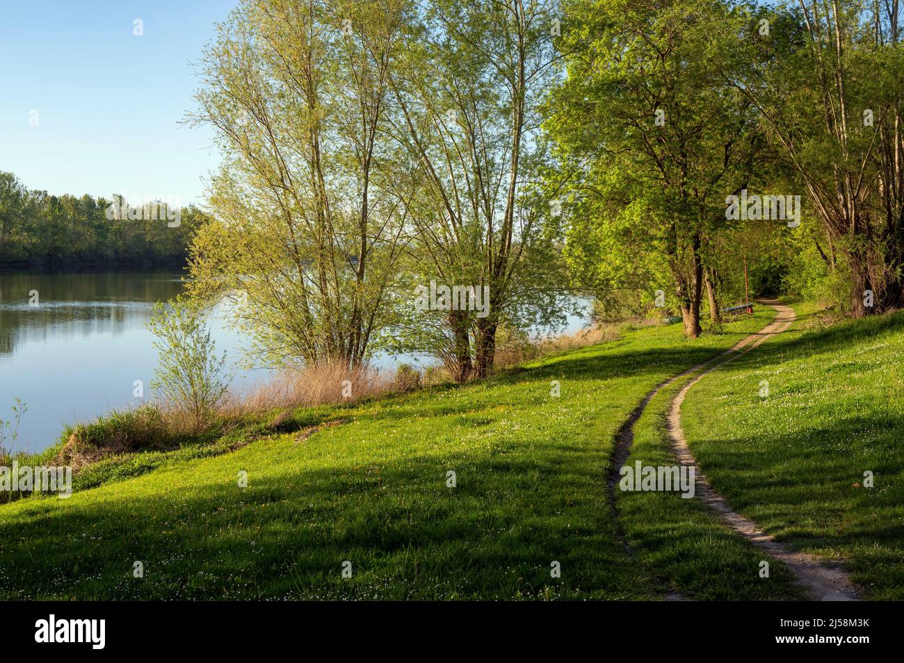 Paesaggio primaverile sulle rive del fiume Saone in primavera nel dipartimento di Ain in Francia Foto Stock