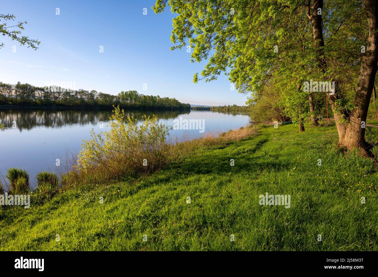 Paesaggio primaverile sulle rive del fiume Saone in primavera nel dipartimento di Ain in Francia Foto Stock