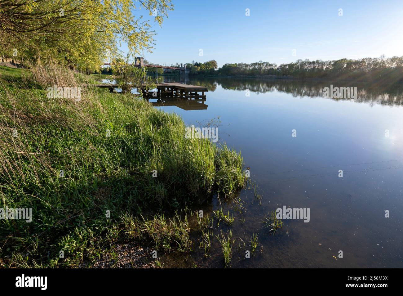 Paesaggio primaverile sulle rive del fiume Saone in primavera nel dipartimento di Ain in Francia Foto Stock