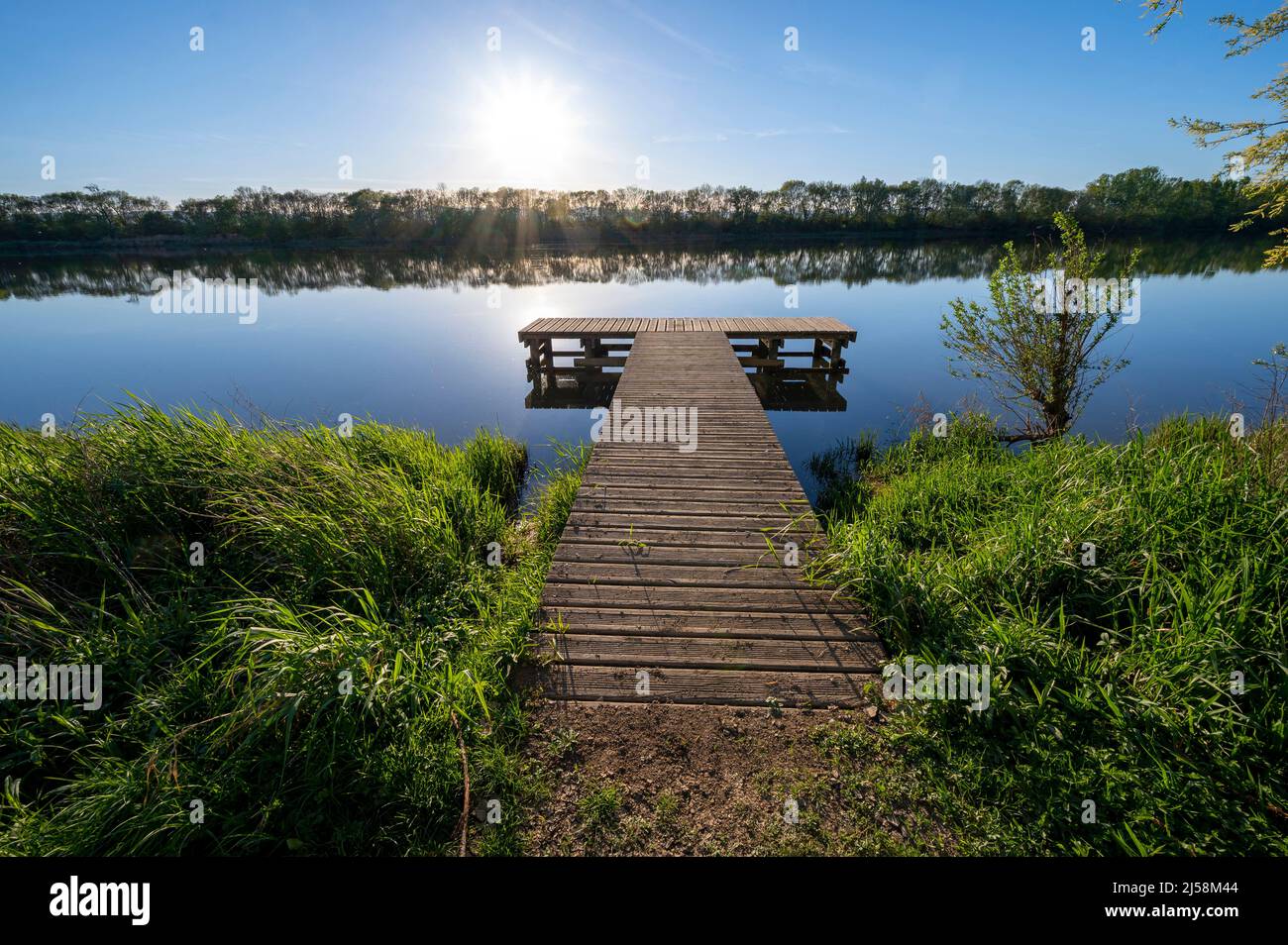 Paesaggio primaverile sulle rive del fiume Saone in primavera nel dipartimento di Ain in Francia Foto Stock