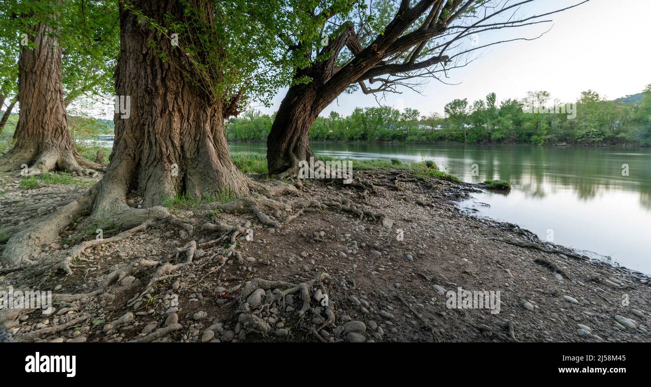 Paesaggio primaverile sulle rive del fiume Saone in primavera nel dipartimento del Rodano in Francia Foto Stock