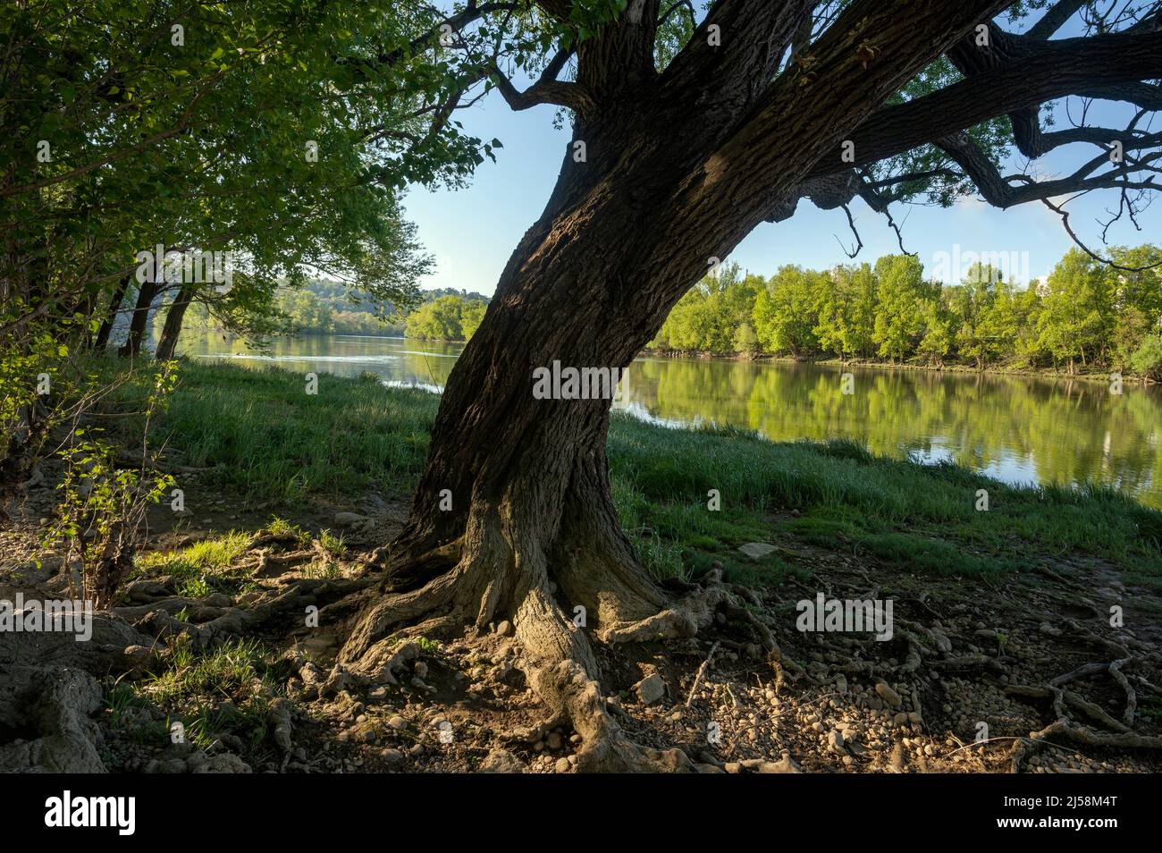 Paesaggio primaverile sulle rive del fiume Saone in primavera nel dipartimento del Rodano in Francia Foto Stock