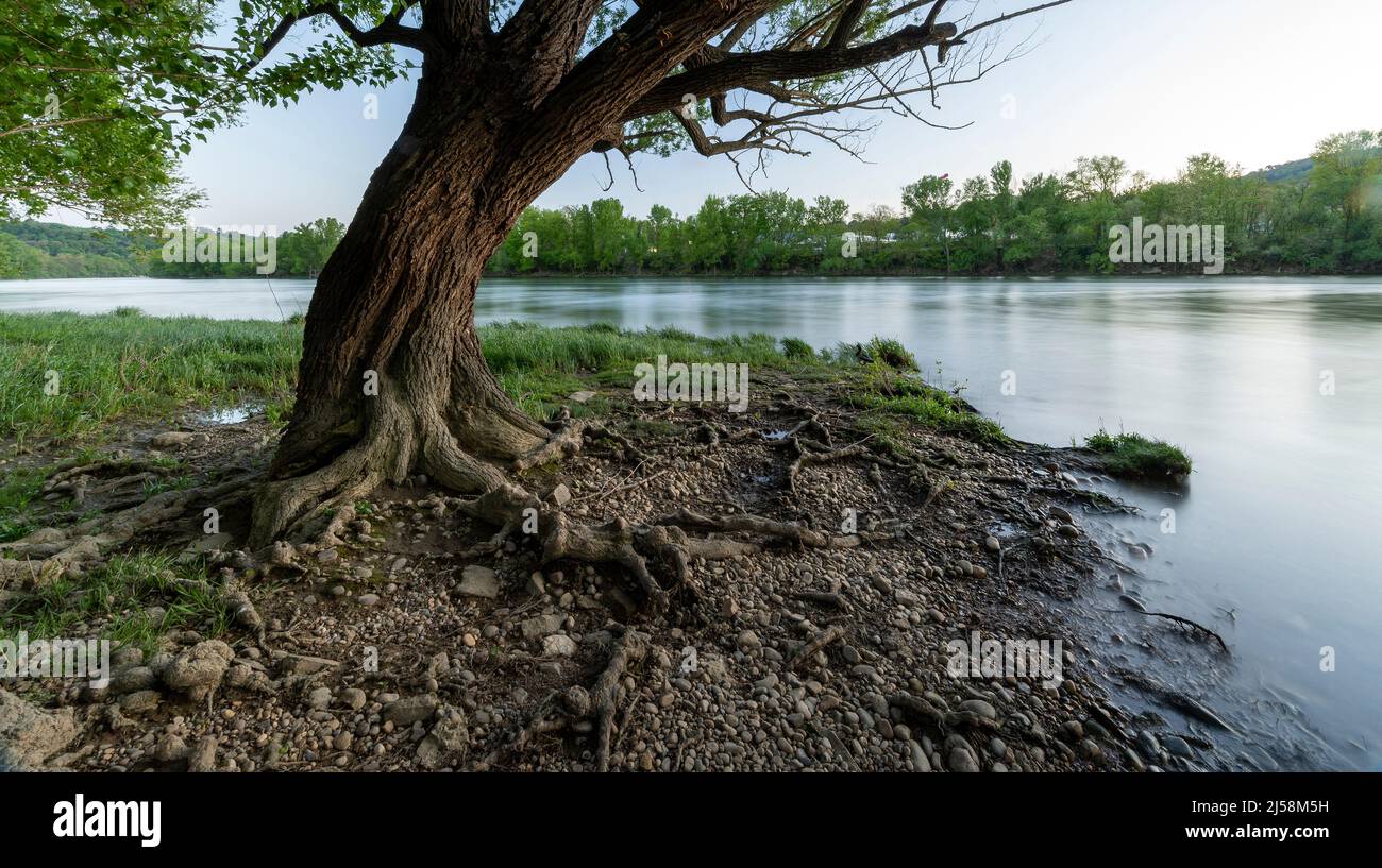 Paesaggio primaverile sulle rive del fiume Saone in primavera nel dipartimento del Rodano in Francia Foto Stock