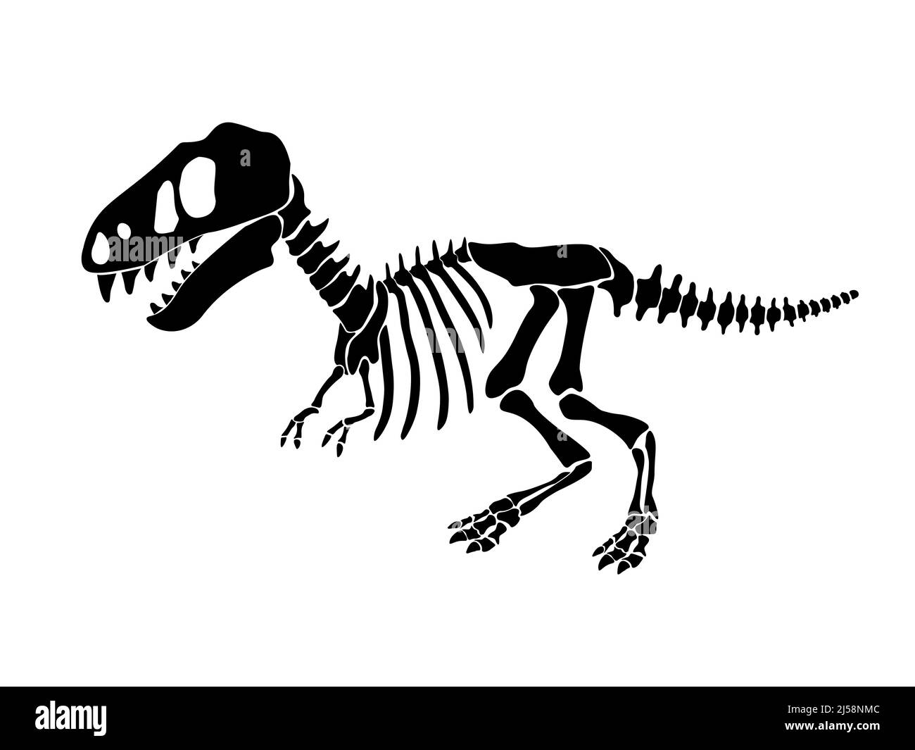 Illustrazione vettoriale con scheletro di dinosauro isolato su sfondo bianco. Illustrazione Vettoriale