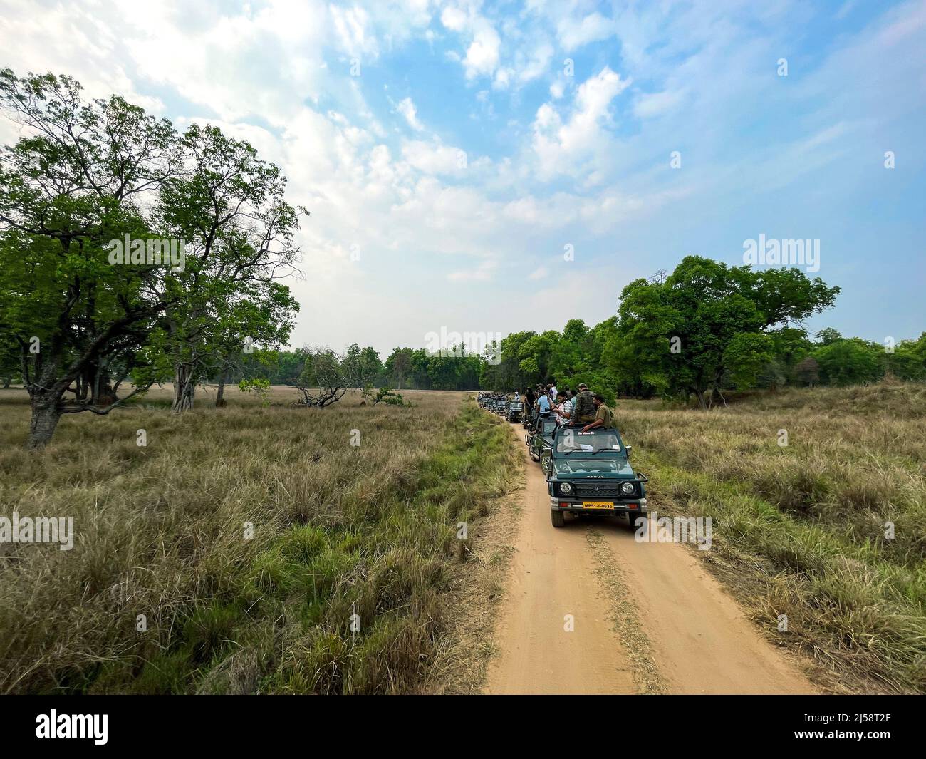 Parco Nazionale di Kanha (riserva delle tigri), situato nel Madhya Pradesh India centrale Foto Stock