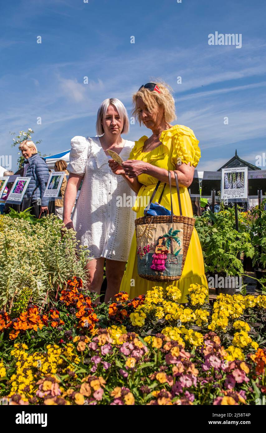 Harrogate, 21st aprile 2022. Due visitatori stanno discutendo di quale pianta acquistare al Spring Flower Show. Picture Credit: ernesto Rogata/Alamy Live News Foto Stock