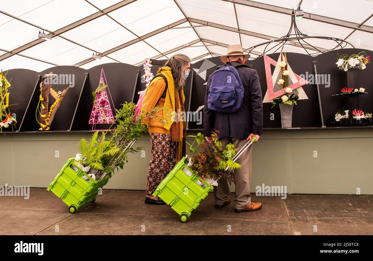 Harrogate, 21st aprile 2022. I visitatori che trasportano i loro acquisti ad un esposizione molto occupato dei fiori di primavera. Picture Credit: ernesto Rogata/Alamy Live News Foto Stock