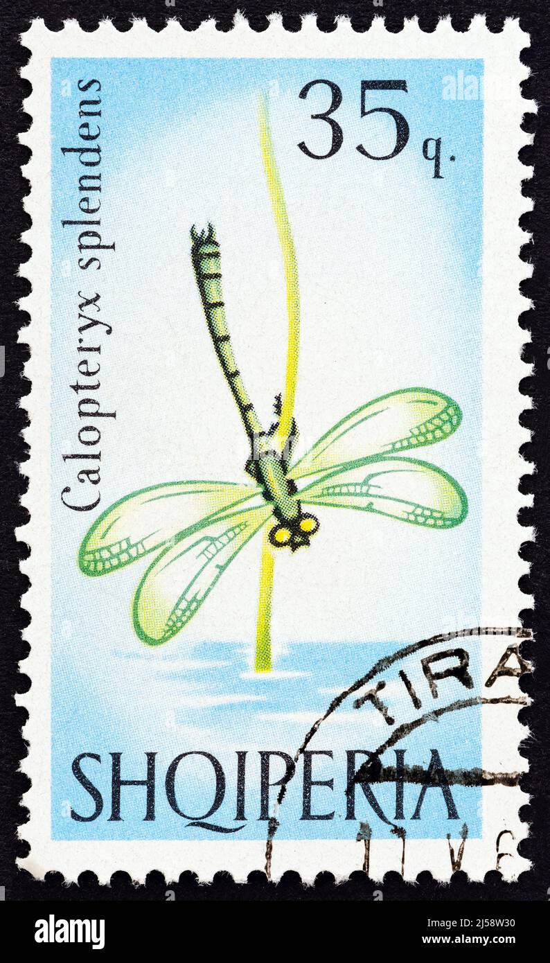 ALBANIA - CIRCA 1966: Un francobollo stampato in Albania dal numero 'Farfalle e Dragonfalle' mostra Banded demoiselle (Calopteryx splendens) damselfly Foto Stock