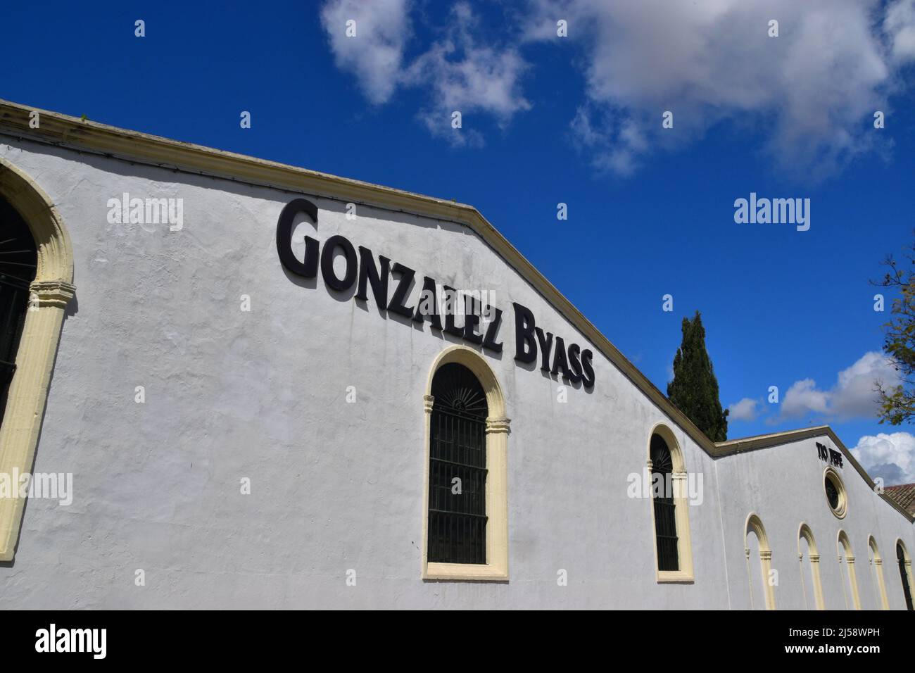 Jerez de la Frontera, Andalusia, Spagna Foto Stock