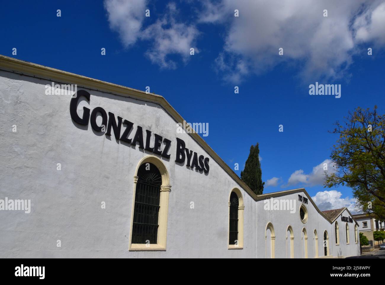 Jerez de la Frontera, Andalusia, Spagna Foto Stock