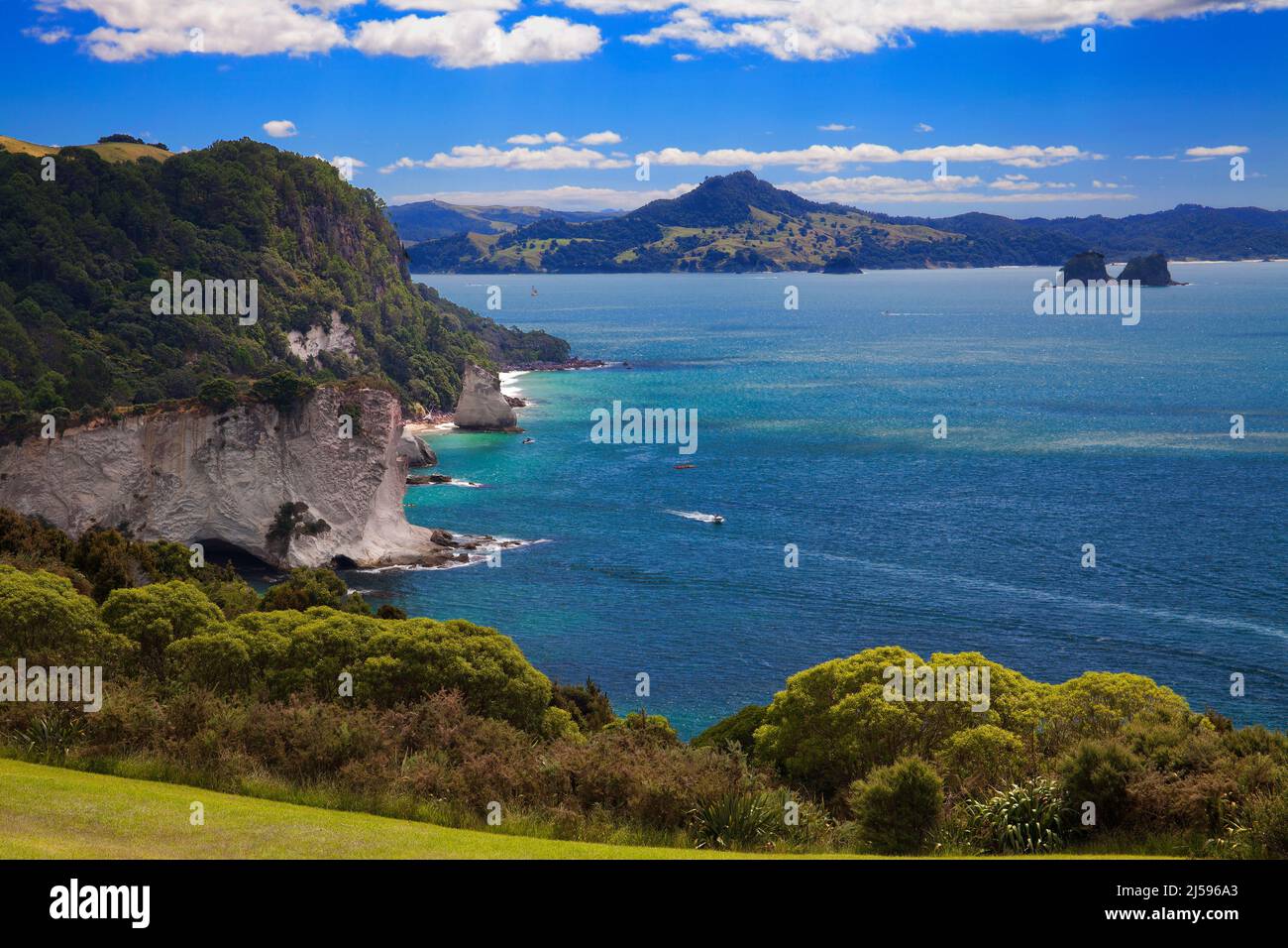 Si affaccia su Mercury Bay, sulla costa orientale della penisola di Coromandel, sull'isola settentrionale della Nuova Zelanda Foto Stock