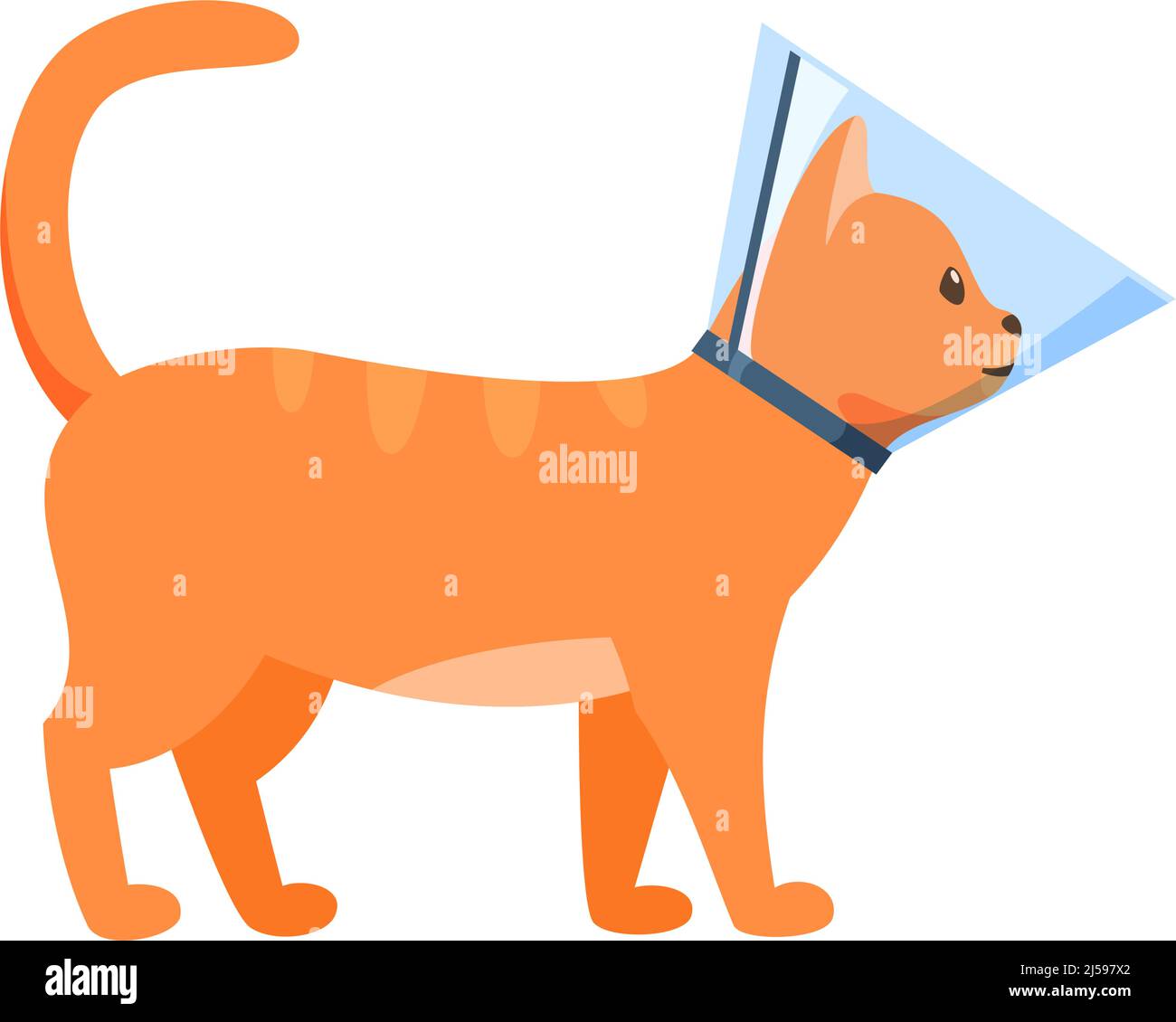 Gatto in colletto conico, gatto rosso avvolto in colletto elisabettiano, protezione dalla leccatura per l'animale domestico dopo il trattamento, cono di vergogna, vettore Illustrazione Vettoriale