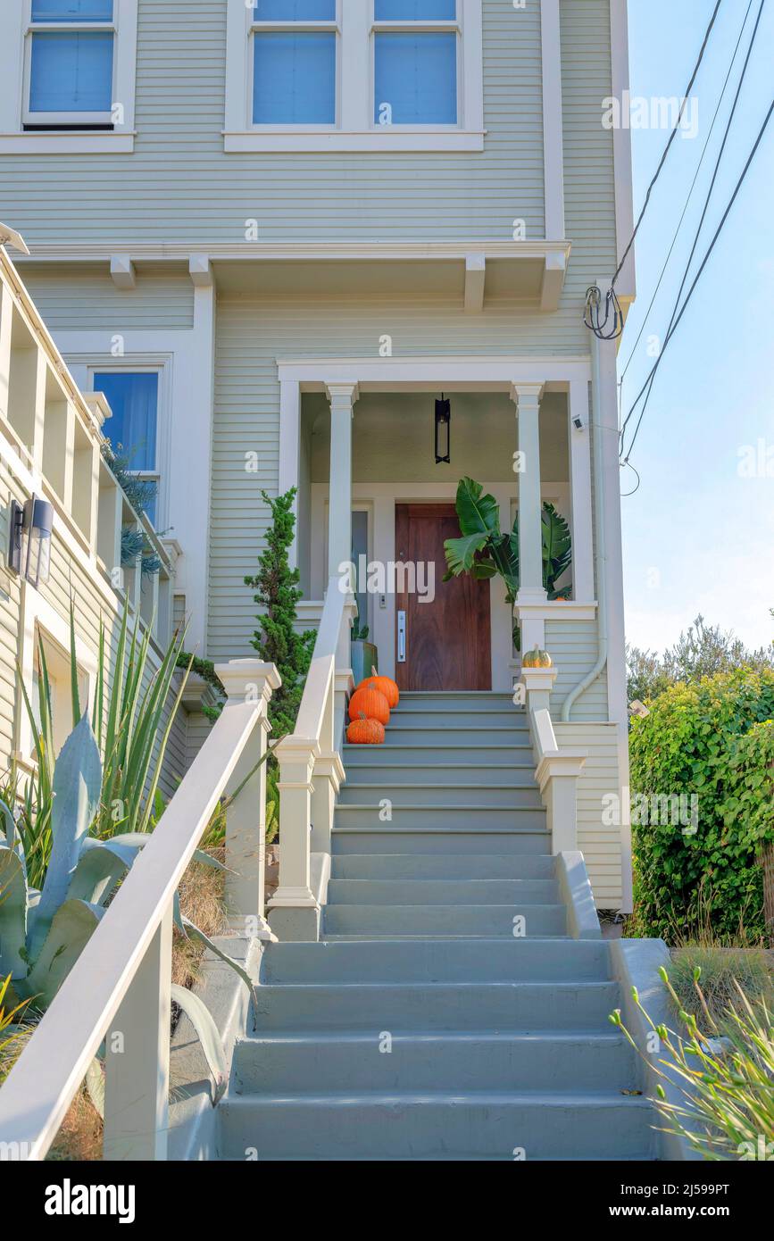 Scala esterna all'ingresso di una casa con scala grigia a San Francisco,  California. Scale con corrimano in mezzo alle piante che portano alla Th  Foto stock - Alamy