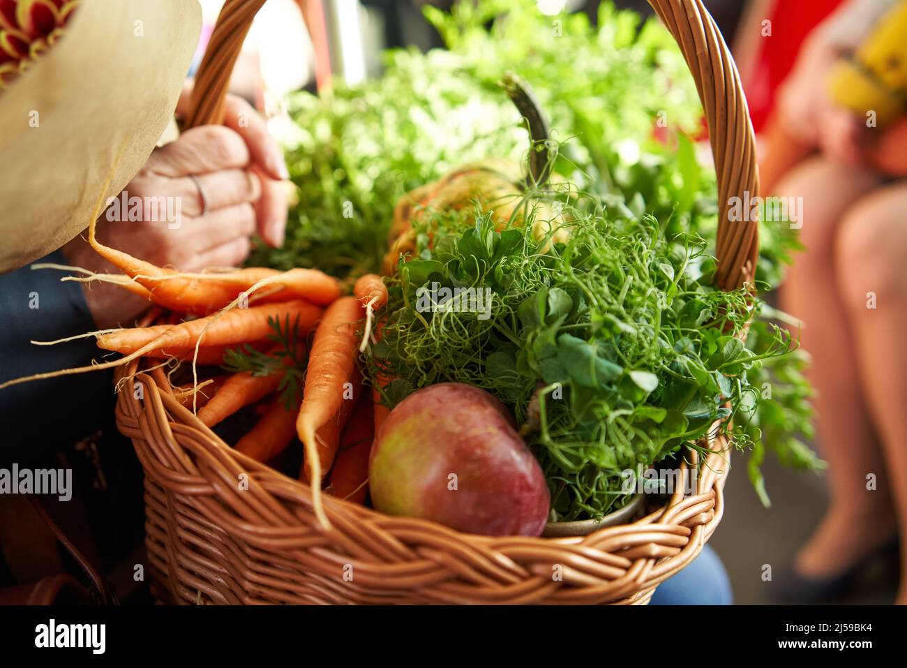 Donna che tiene un cestino con verdure, frutta e piselli microgreens - di ritorno dal mercato agricolo Foto Stock