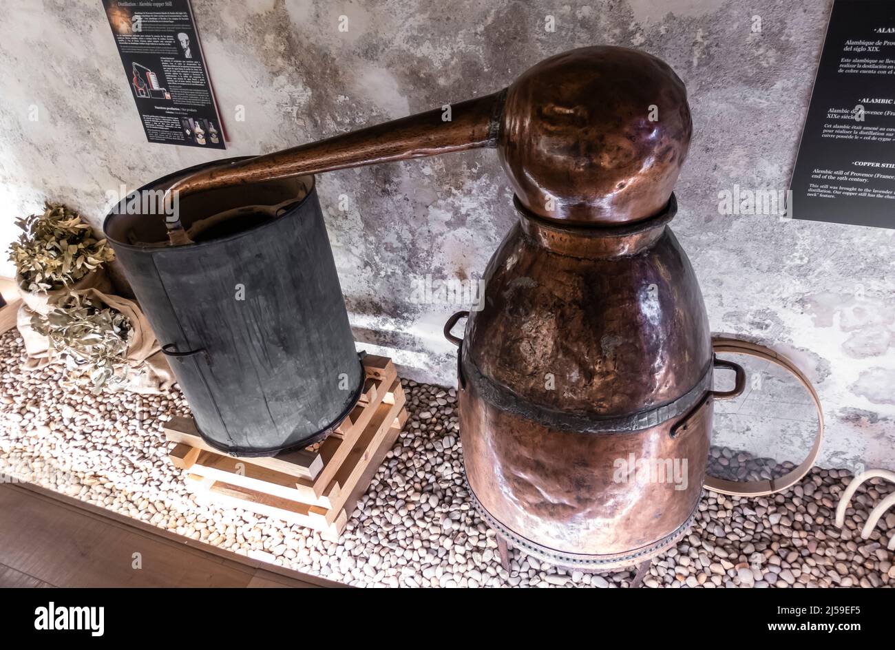 Rame ancora, alambicco collo d'oca della Provenza, Francia, ha portato nei campi di lavanda per la desillazione in loco. Fine del 19th secolo Foto Stock