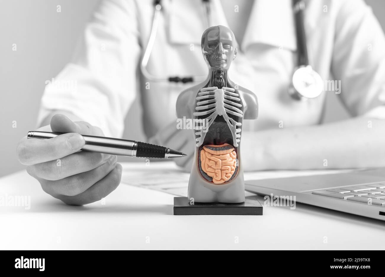 Dottore che mostra organi interni nel modello umano 3D. Donna con stetoscopio in camice da laboratorio seduto alla scrivania con computer portatile. Anatomia e concetto di educazione medica online. Bianco e nero. Foto di alta qualità Foto Stock