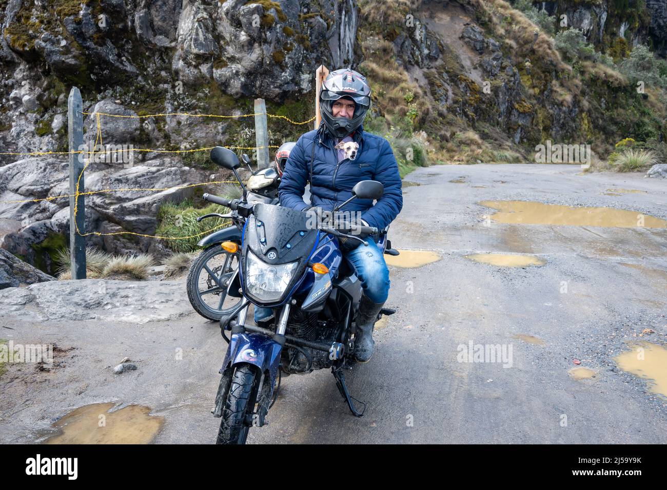 Un uomo sulla sua moto, con il suo cane poke la sua testa fuori dal suo cappotto. Colombia, Sud America. Foto Stock