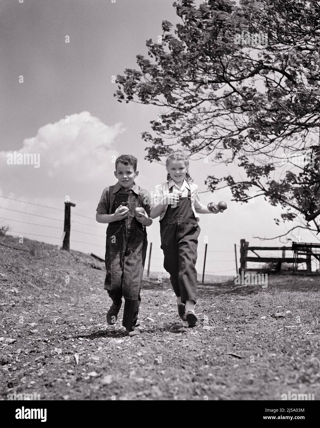 1940S DUE RAGAZZI DELL'AZIENDA AGRICOLA RAGAZZO E RAGAZZA FRATELLO E SORELLA CAMMINANDO VERSO GUARDARE LA MACCHINA FOTOGRAFICA CHE TRASPORTA LE MELE - J6627 HAR001 HARS LAVORO DI SQUADRA FELICE GIOIA LIFESTYLE CELEBRAZIONE FEMMINE FRATELLI RURALE COPIA SPAZIO AMICIZIA PERSONE A TUTTA LUNGHEZZA COLTIVANDO MASCHI MELE FRATELLI VERSO LE SORELLE AGRICOLTURA B&W TENTAZIONE FELICITÀ ALLEGRO TEMPO LIBERO E AGRICOLTORI BASSA ANGOLO DI RICREAZIONE ORGOGLIO FRATELLO SORRIDE BLU JEAN HURYING GIOIOSO GENERALE GIOVANI RELAX INSIEME NERO E BIANCO ETNIA CAUCASICA HAR001 VECCHIO STILE Foto Stock
