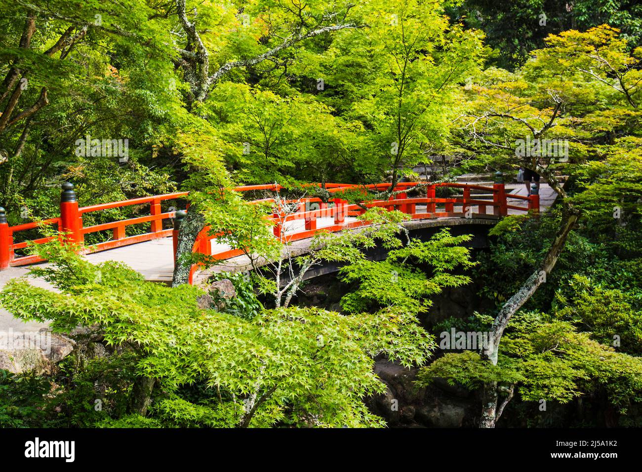 Isola di Miyajima, parco di Momijidani, Giappone Foto Stock