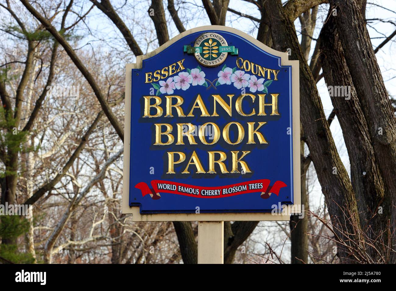 La segnaletica del Branch Brook Park fa un giro dei suoi alberi in fiore di ciliegio famosi in tutto il mondo. Il parco ospita la più grande collezione di ciliegi degli Stati Uniti. Foto Stock