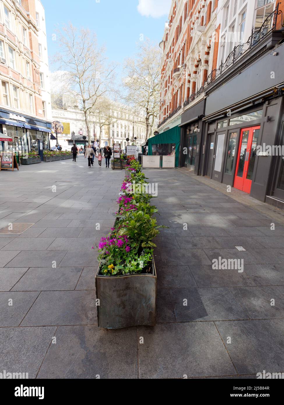 Londra, Greater London, Inghilterra, Aprile 09 2022: Aiuole di fiori all'esterno di ristoranti in Leicester Square. Foto Stock