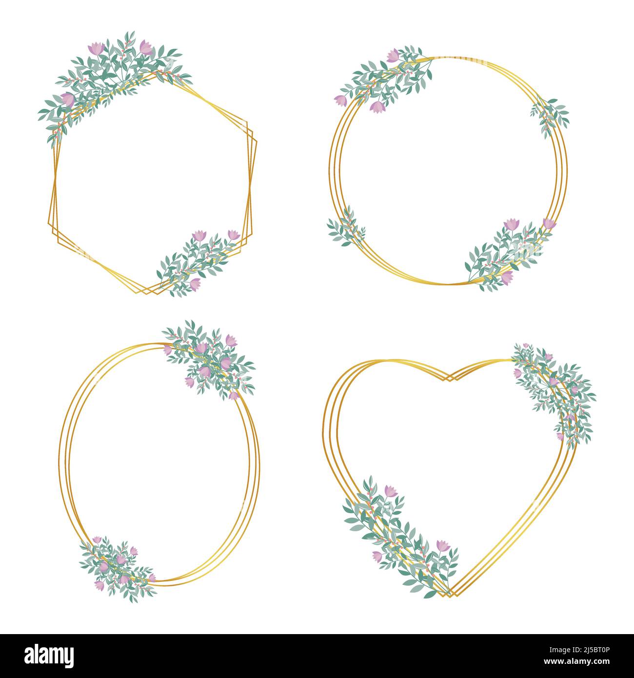 Set di cornici in oro botanico decorate con fiori, illustrazione vettoriale isolata Illustrazione Vettoriale