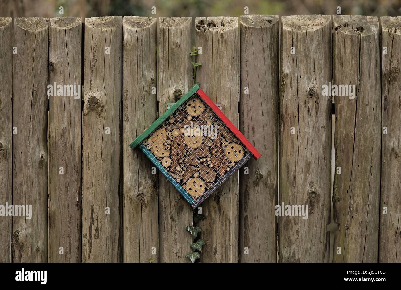 Un hotel per insetti, conosciuto anche come un hotel per insetti fatto di legno forato e corteccia Foto Stock