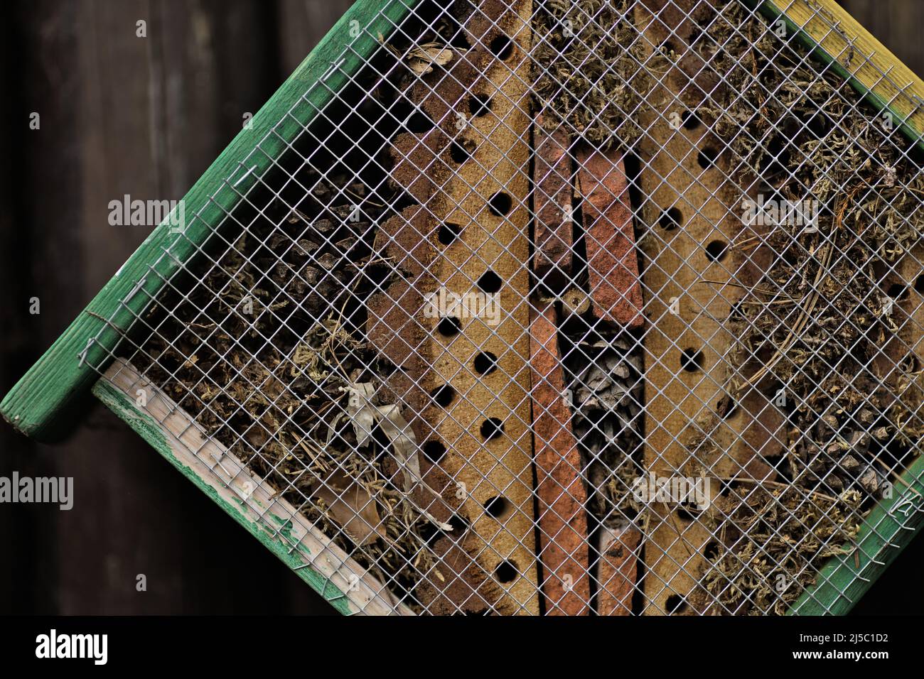 Un hotel per insetti fatto di legno forato, corteccia e muschio essiccato Foto Stock
