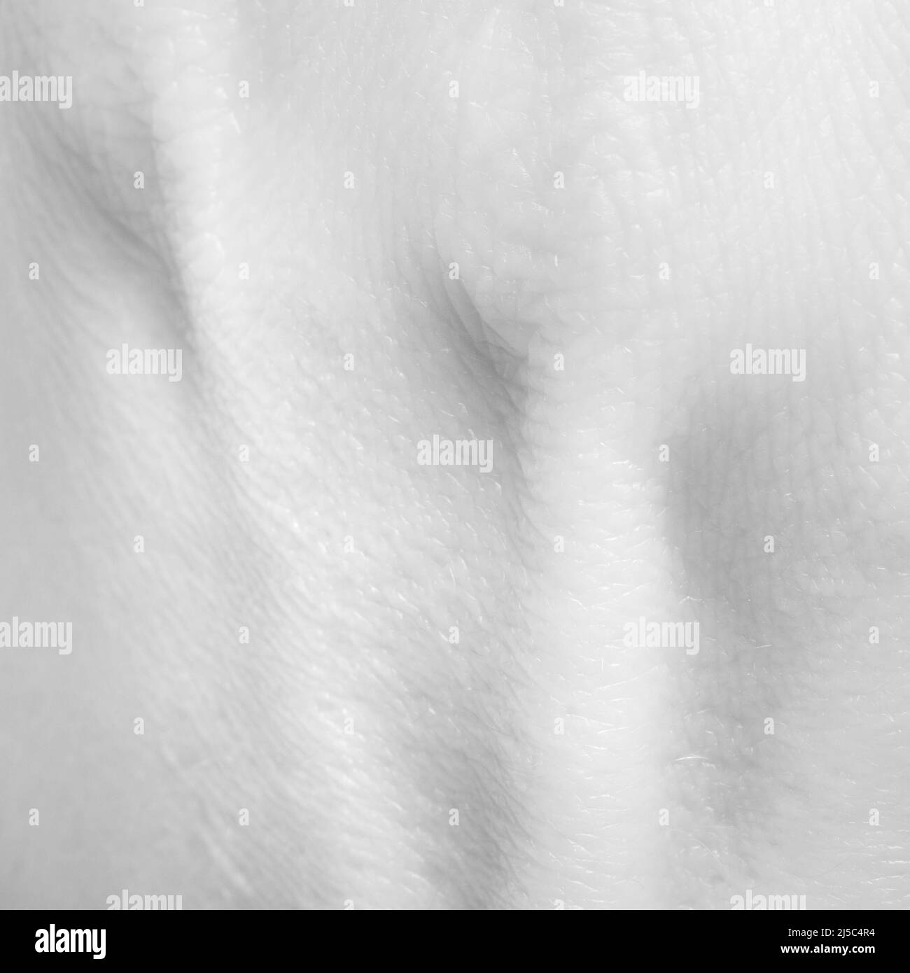 Parte posteriore della mano. Texture dettagliata della pelle umana. Primo piano parte della mano umana. Concetto di cura della pelle, cura del corpo, assistenza sanitaria, igiene e medicina. Macro Foto Stock