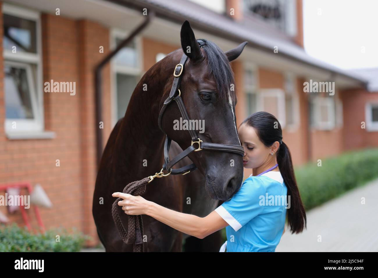 Donna veterinario conduce visita medica di cavallo sportivo Foto Stock