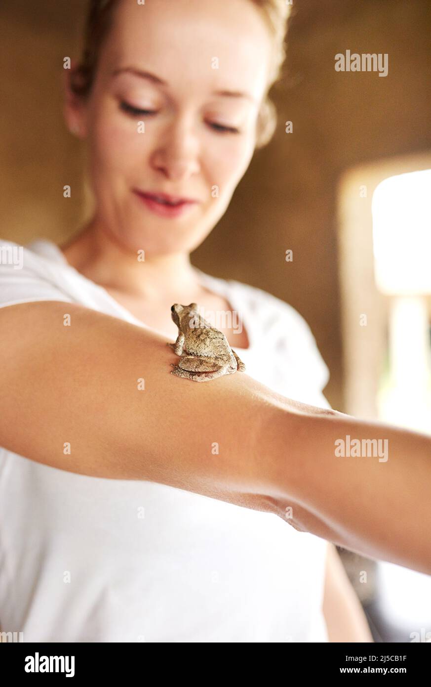 Shot di una piccola rana seduta su un braccio femminile Foto Stock