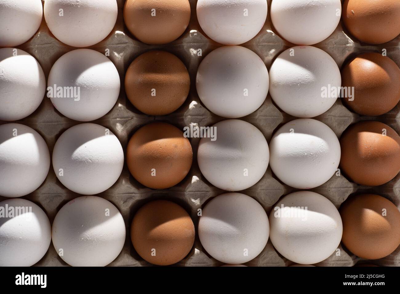 Sfondo uovo. Uova bianche e marroni in un vassoio della scatola di carta alimenti proteici. Eco biologico. Concetto di minimalismo. Foto Stock