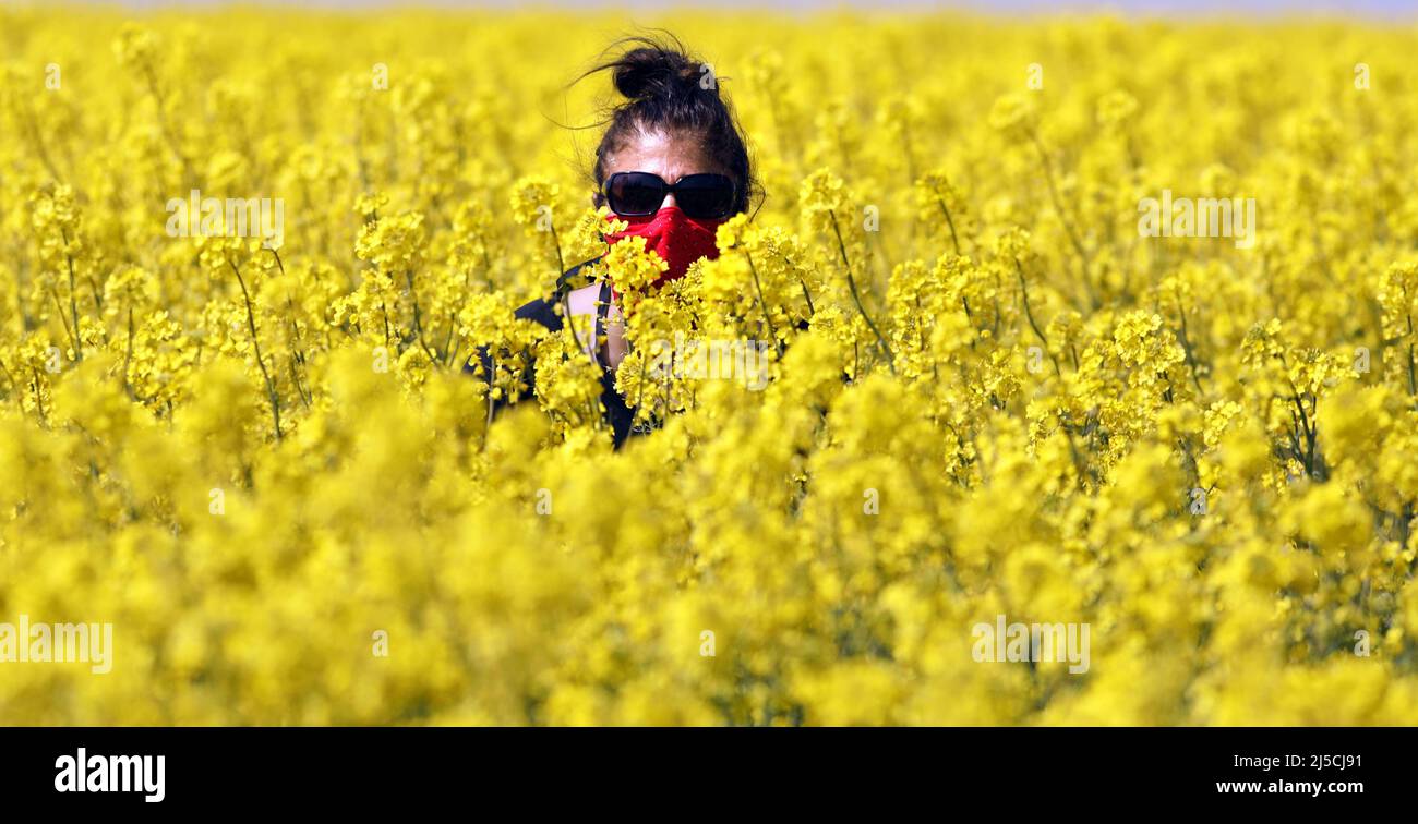 Obbligo maschera immagine simbolica: Donna con maschera rossa nel campo colza. [traduzione automatizzata] Foto Stock