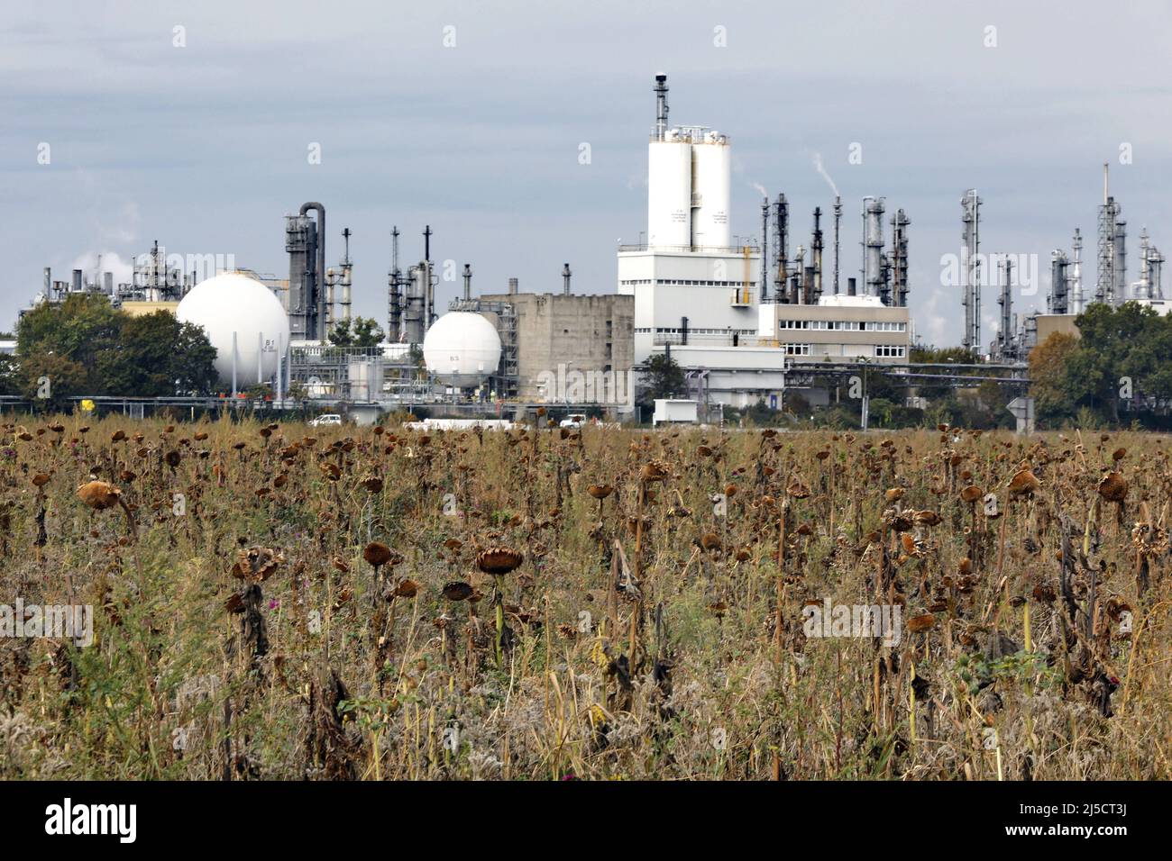 Ludwigshafen, DEU, 02.10.2020 - Vista dello stabilimento BASF di Ludwigshafen. BASF se, con sede a Ludwigshafen am Rhein, è la più grande azienda chimica al mondo per le vendite. [traduzione automatizzata] Foto Stock