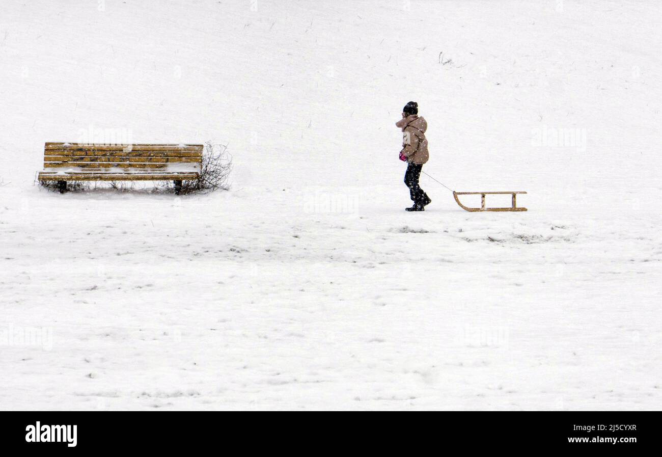 Berlino, DEU, 09.02.21 - Una ragazza tira una slitta in un parco nevoso. La neve e il freddo ghiacciato continuano a dominare il tempo. [traduzione automatizzata] Foto Stock