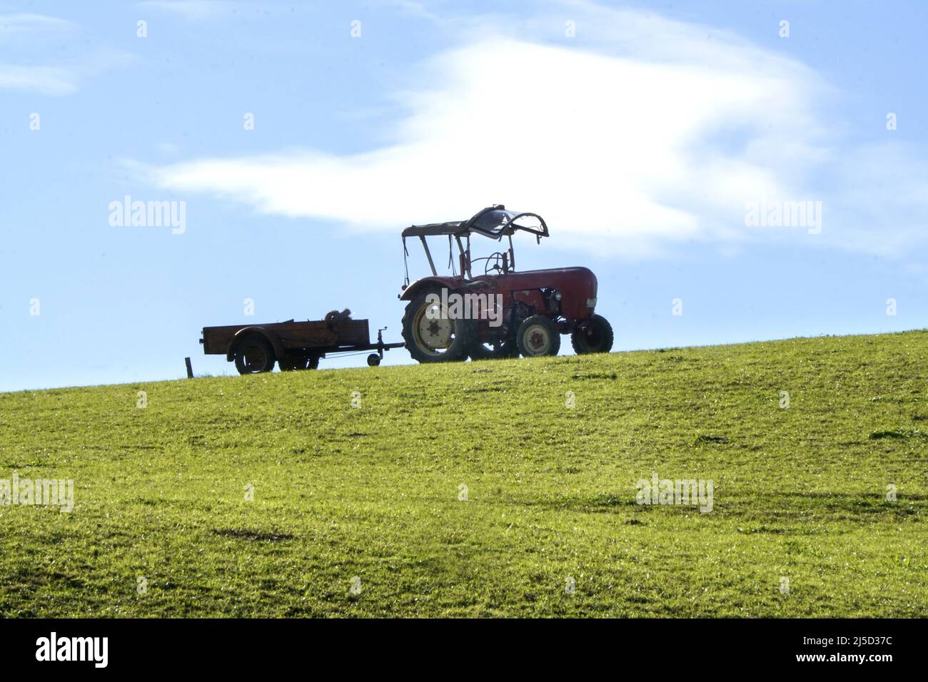Nesselwang, 14.10.2021 - un vecchio trattore rosso si erge su un prato verde. [traduzione automatizzata] Foto Stock