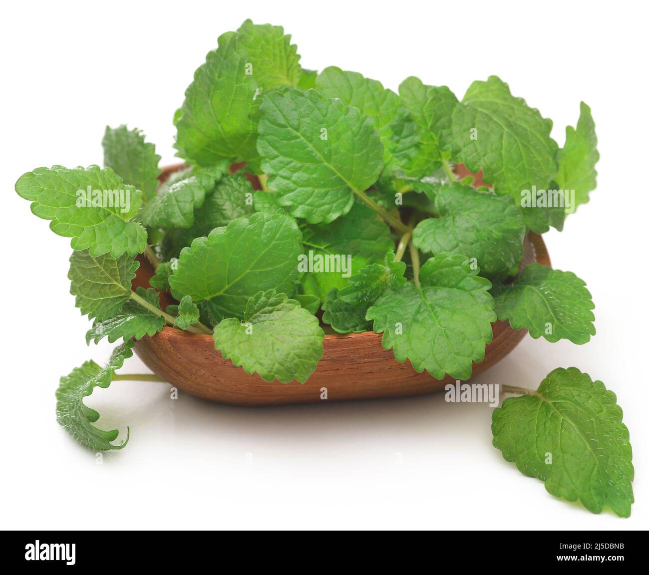 Balsamo al limone fresco e organico su sfondo bianco Foto Stock