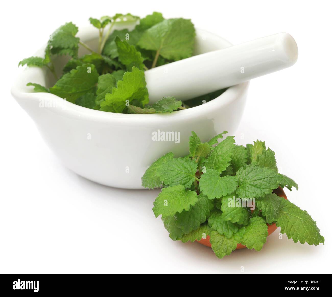 Balsamo al limone fresco e biologico con mortaio e pestello su sfondo bianco Foto Stock