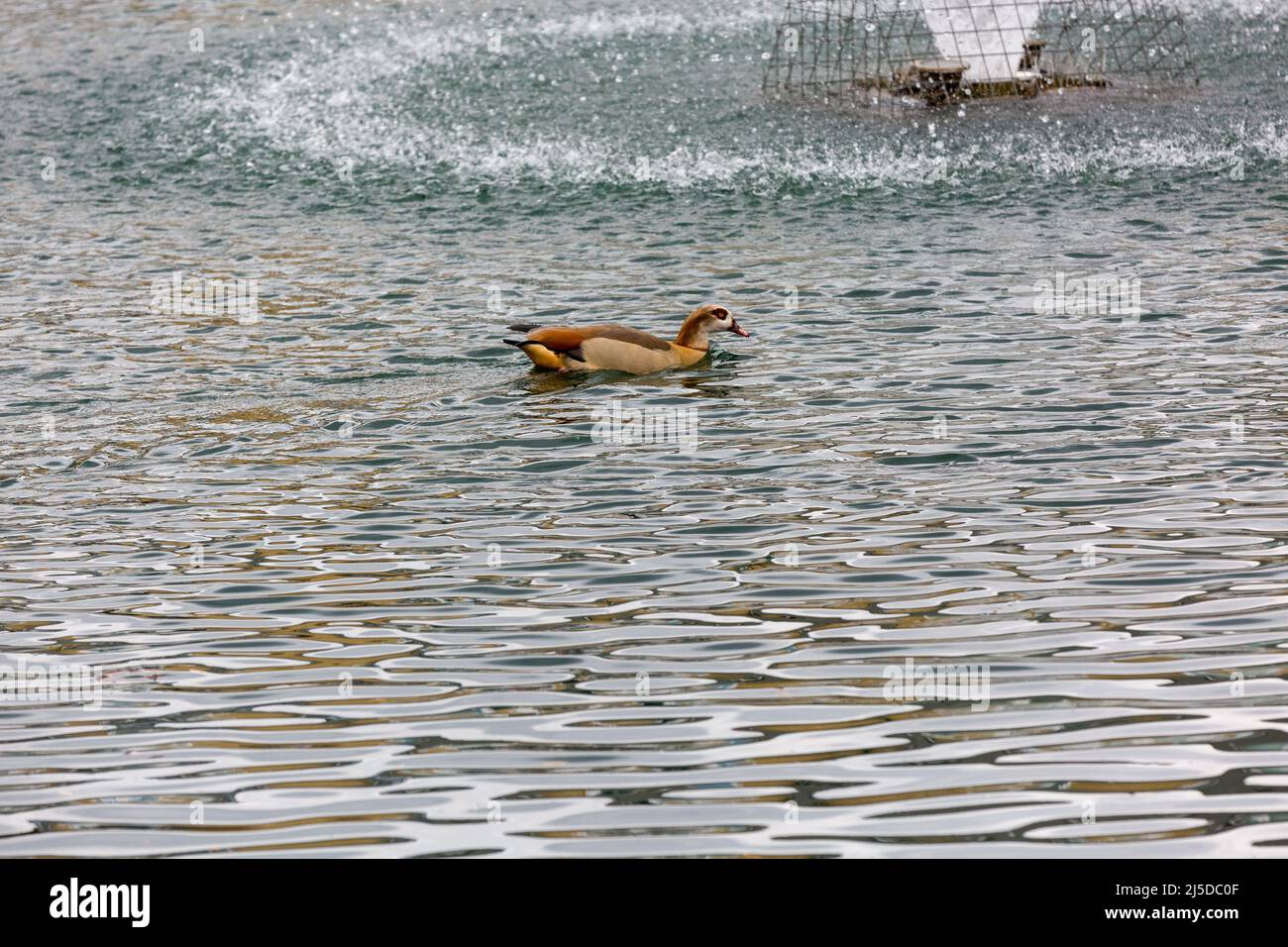 Wapping, Londra Foto Stock