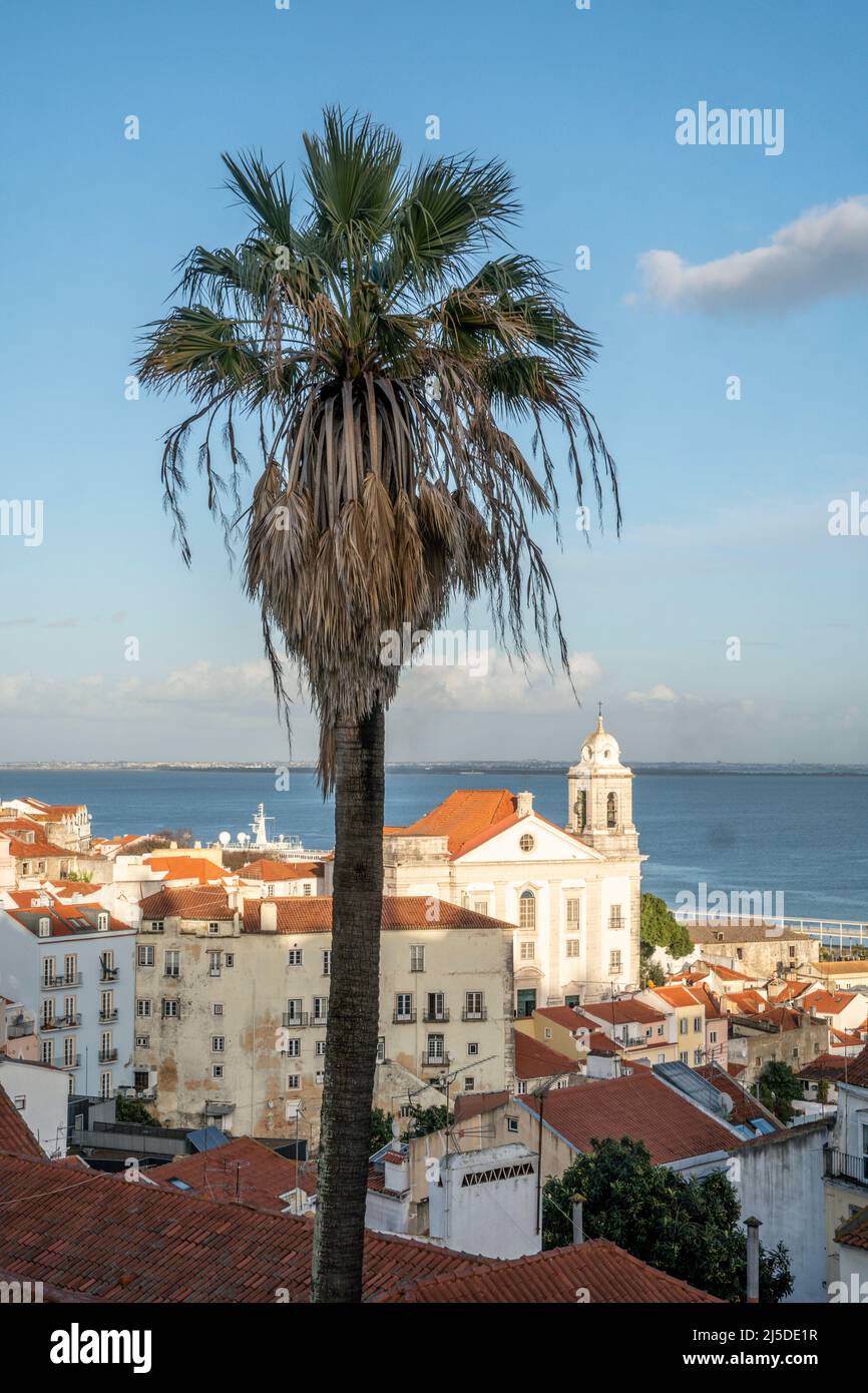 Aublick vom Miradouro Santa Luzia auf die Altstadt, Stadtteil Alfama, Lissabon, Portogallo, Europa Foto Stock