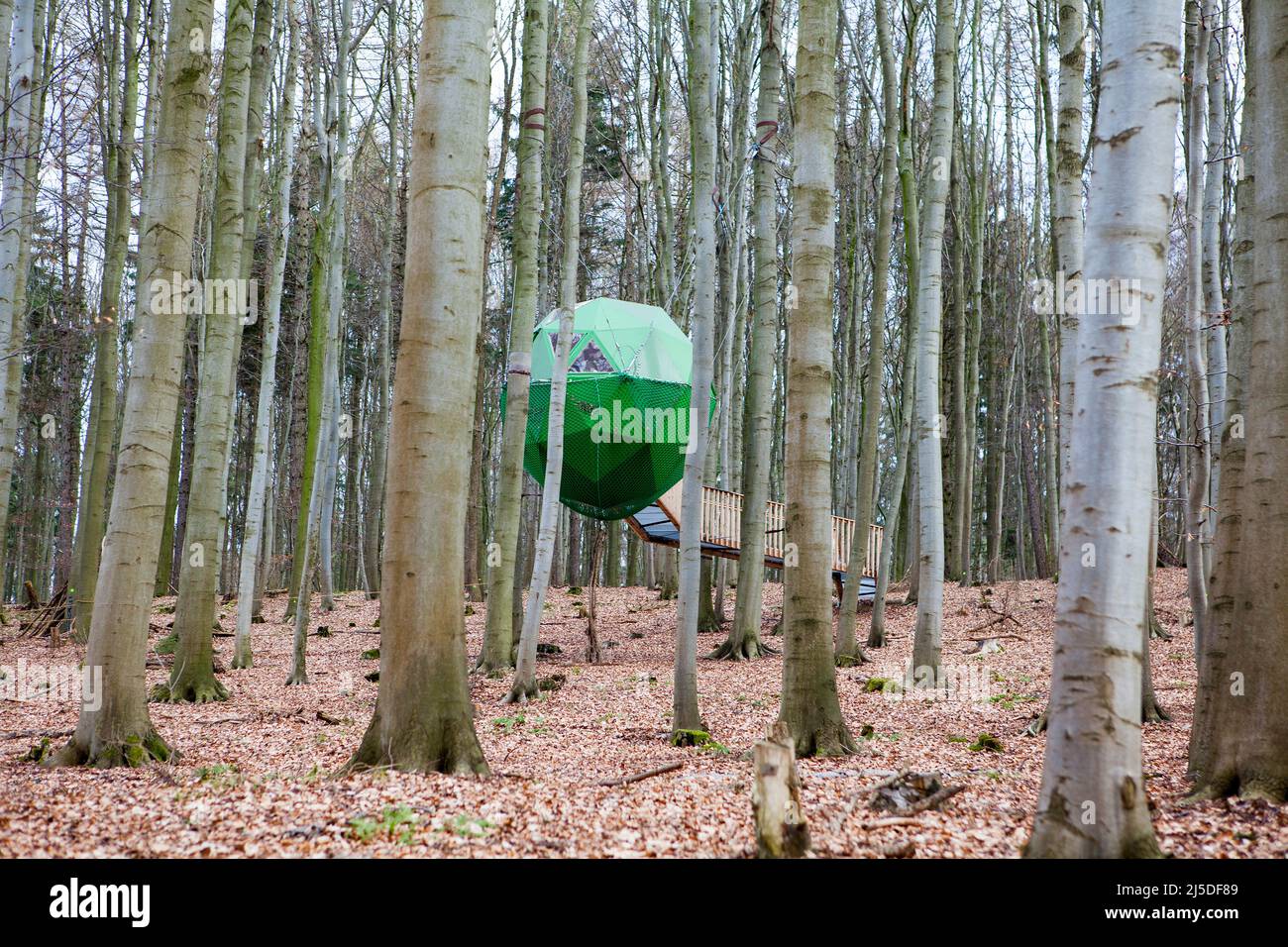 Treehouse hotel, Berlepsch, Witzenhausen, Assia, Germania Foto Stock