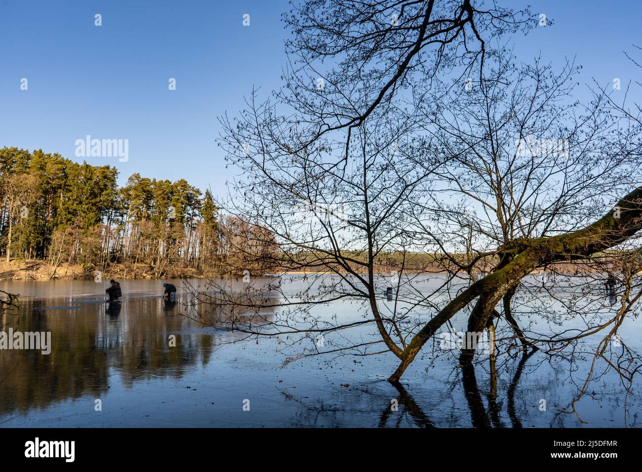 Grande angolo di cattura di due persone che si levano su un lago parzialmente ghiacciato circondato da foresta nella zona polacca vicino Drzewicz villaggio in voivodato Pomeraniano. C Foto Stock
