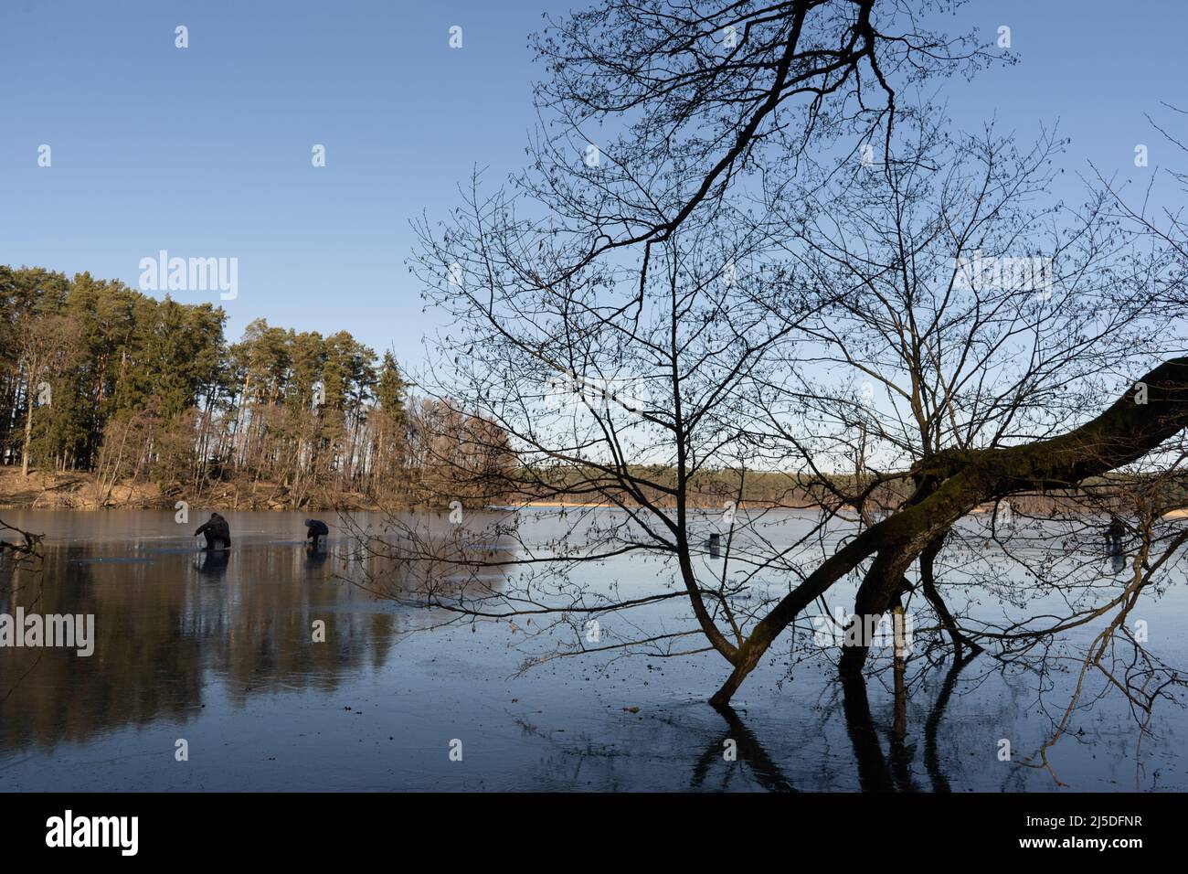 Grande angolo di cattura di due persone che si levano su un lago parzialmente ghiacciato circondato da foresta nella zona polacca vicino Drzewicz villaggio in voivodato Pomeraniano. C Foto Stock