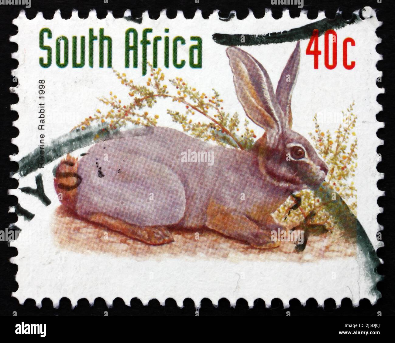 SUD AFRICA - CIRCA 1998: Un francobollo stampato in Sudafrica mostra Riverine Rabbit, Bunolagus Monticularis, è uno dei mammiferi più minacciati nel WOR Foto Stock